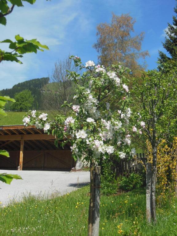 Haus Schoenleiten Wagrain Exterior foto